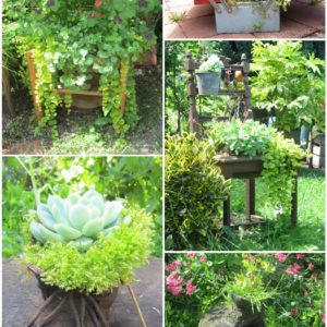 Shoes, Chairs & Tool Boxes: Everything Could Be Reused into Planters / Idée De Bac à Fleurs Pour Le Jardin 5 &bull; Recycling Metal