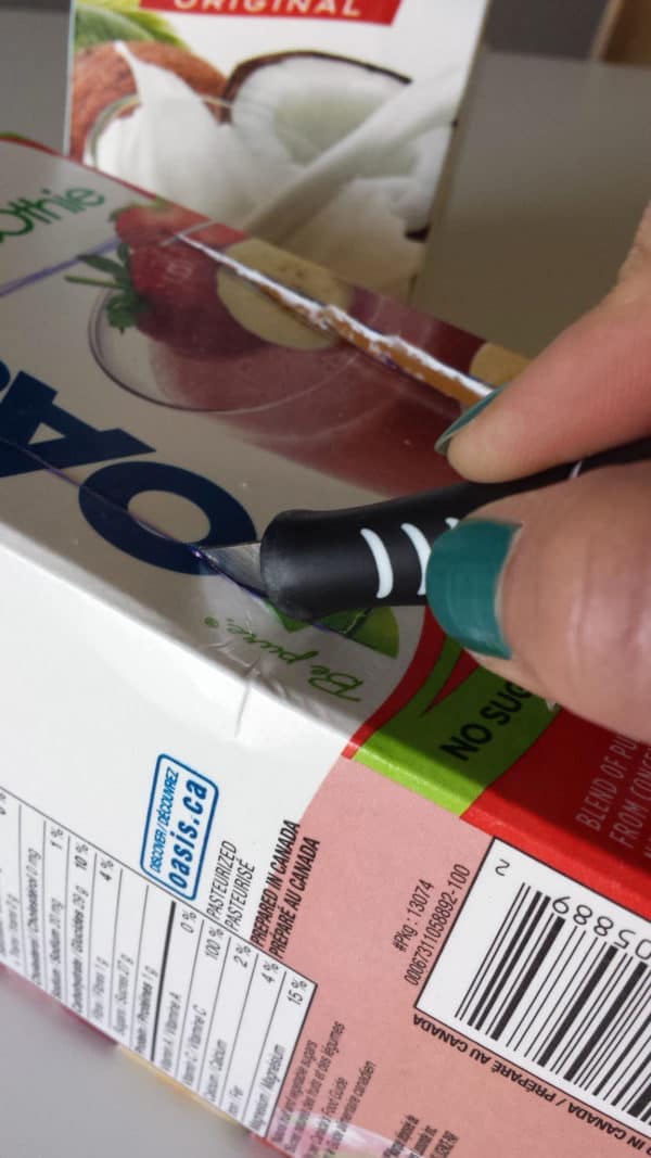 recyclart.org-milk-carton-and-juice-carton-bird-feeder2