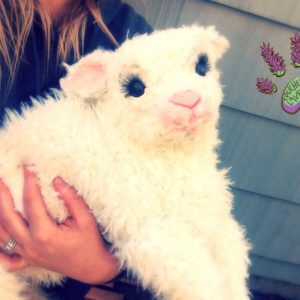 Recycled Clothing Lamb 5 &bull; Clothing