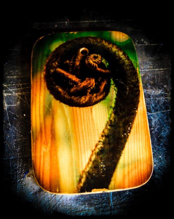 Upcycled Wood Panel Photo Transfers 1 • Wood & Organic • Recyclart Wood Panel Photo Transfers1