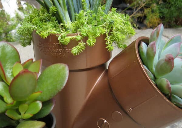 Plastic Plumbing Planters2