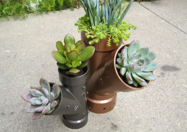 Plastic Plumbing Planters1