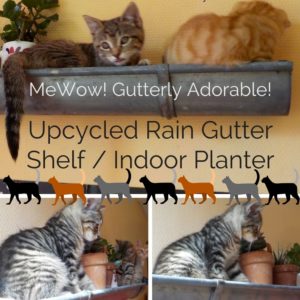 Upcycled Rain Gutter Shelf Stores Kitties / Chats De Gouttières 1 &bull; Recycling Metal