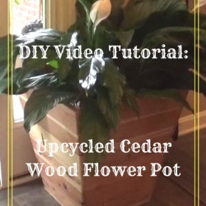Diy Video Tutorial: Reclaimed Cedar Flower Pot 9 &bull; Recycled Glass