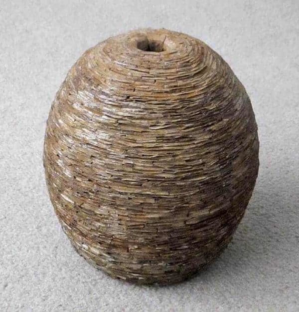 Recycled Cardboard Wasp Nest Pot 4 • Recycled Cardboard • Recyclart Recycled Cardboard Wasp Nest Pot 3 • Recycled Cardboard