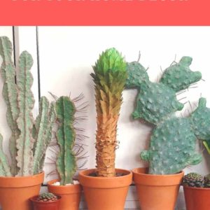Cardboard Cactuses For Your Home Decor 1 &bull; Recycled Cardboard