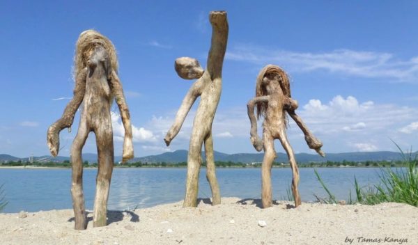 The Reincarnation of Driftwood by Tamas Kanya 6 • Wood & Organic • Recyclart The Reincarnation of Driftwood by Tamas Kanya 5 • Wood & Organic