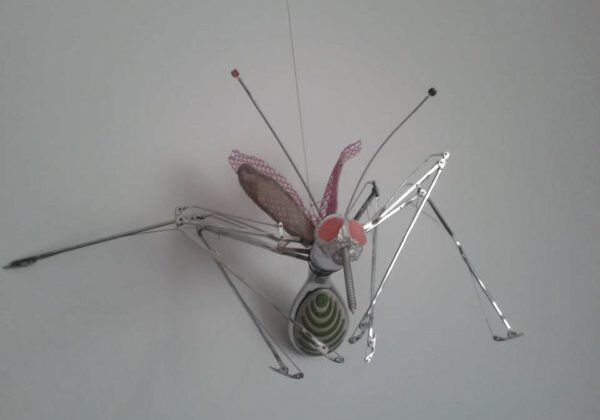 11329813_836963646381726_117045407284238407_n