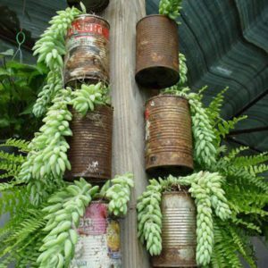 12-y-tuong-trong-cay-tao-bao-tu-nhung-do-vat-bo-di-8
