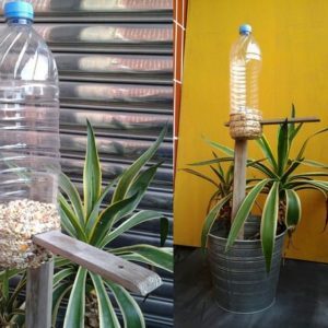 20140128_152141-1-1-1