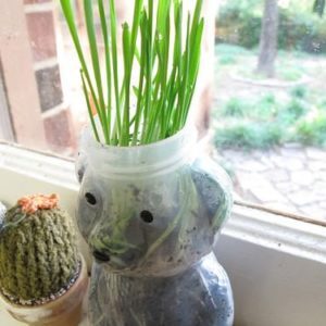 3618483714_4f459fe185