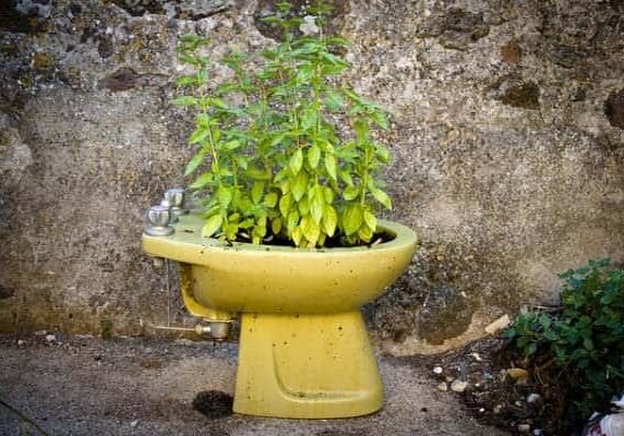 6122854069_6f4ca2f9d6_z