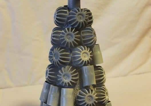 ALBERINO-CON-TAPPI-2