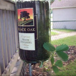 Black-Oak-Plant-Holder