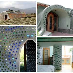 Crazy Cool and Ingenius Earthships