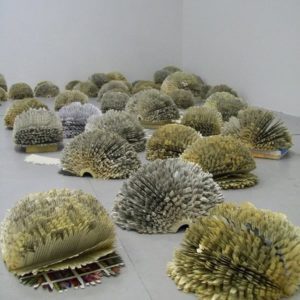 Forest-Lungs-of-the-World-1