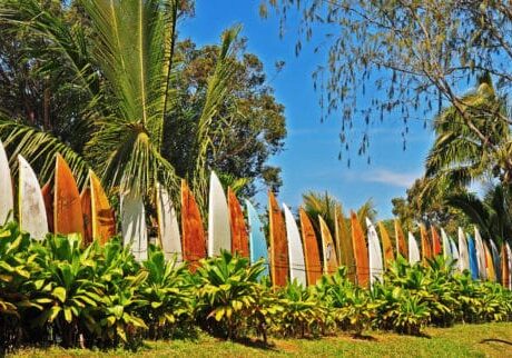 SurfboardFenceNoPower