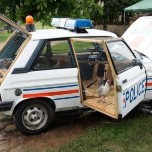 benedetto-bufalino-repurposes-a-police-car-as-a-chicken-coop-designboom-04