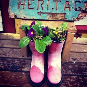 c3001206782811e18bb812313804a181_7