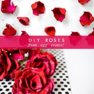 diy roses from egg crates