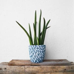 ein Blumentopf mit Pullover