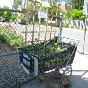 gardening-cart