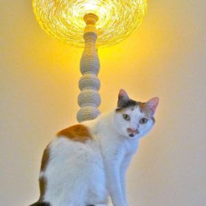 lighting-cat-tree3