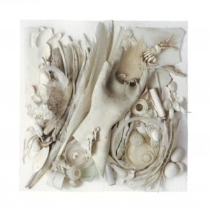 noid-weisserhandschuh