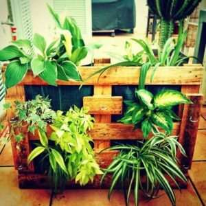 pallet-planters1