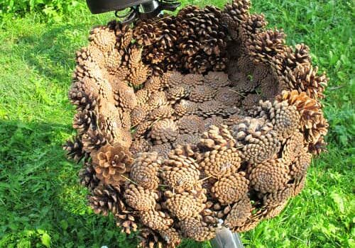 pine-cone-basket1