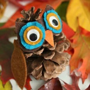 pinecone-owl