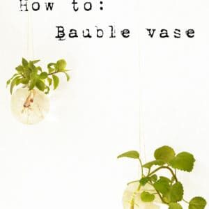bauble-plant-how-to