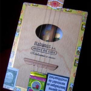 cigar box ukulelele