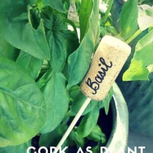 recyclart.org-cork-as-plant-labels-01
