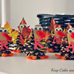 alltheturkeys