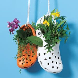 new-uses-clogs-planters_300