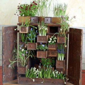 cupboard-garden