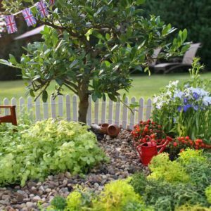 Bridgman-Miniature-Royal-Baby-Commemoration-Garden-DIY-Guide-Side-view-of-the-garden-Step-19