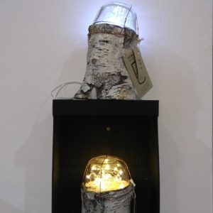 recyclart.org-dome-fairy-log-lamps