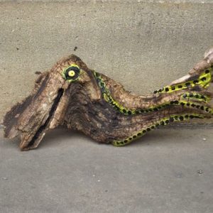 Yellow-fish-driftwood
