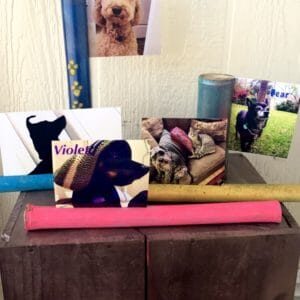 recyclart.org-fetch-a-stick-snap-a-pic