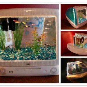 mosaic02aa0939dda05b8ec118ff2a87ebcccd05f2093c