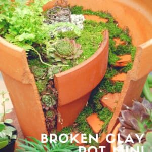 recyclart.org-mini-garden-02