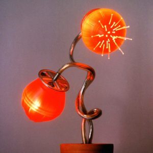 Flor-de-Nit_Night-flower_Bernat-Capellades_2004