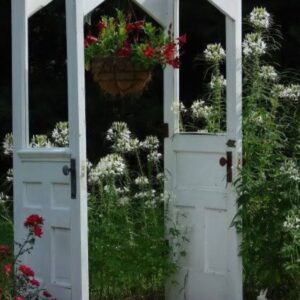 recyclart.org-old-doors-arbor