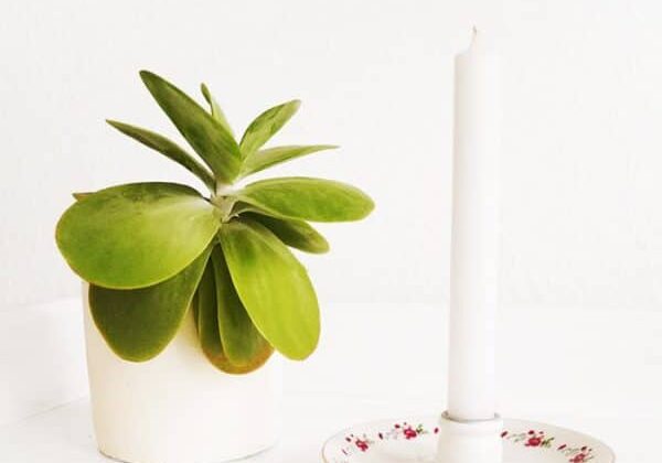 recyclart.org-saucer-candleholder1