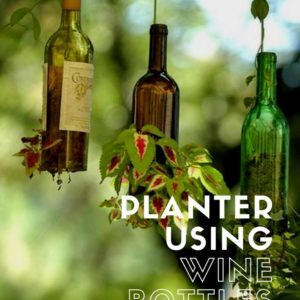 recyclart.org-planter-using-upcycled-wine-bottles-01