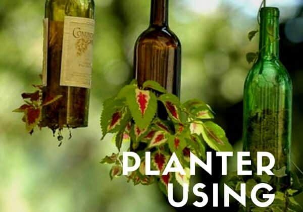 recyclart.org-planter-using-upcycled-wine-bottles-01