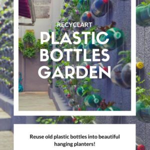 recyclart.org-plastic-bottles-garden-06