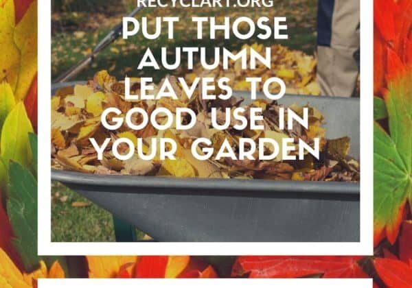 recyclart.org-put-those-autumn-leaves-to-good-use-in-your-garden-05